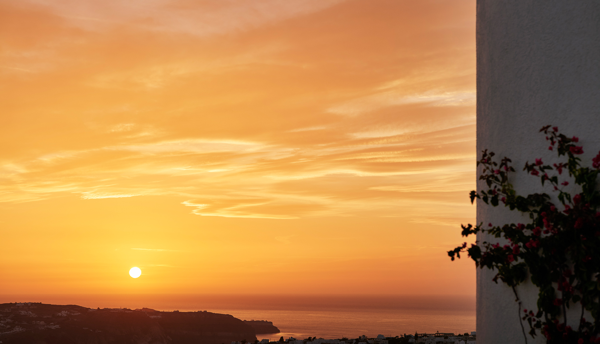 12-drz_ark_jtr_5_239881