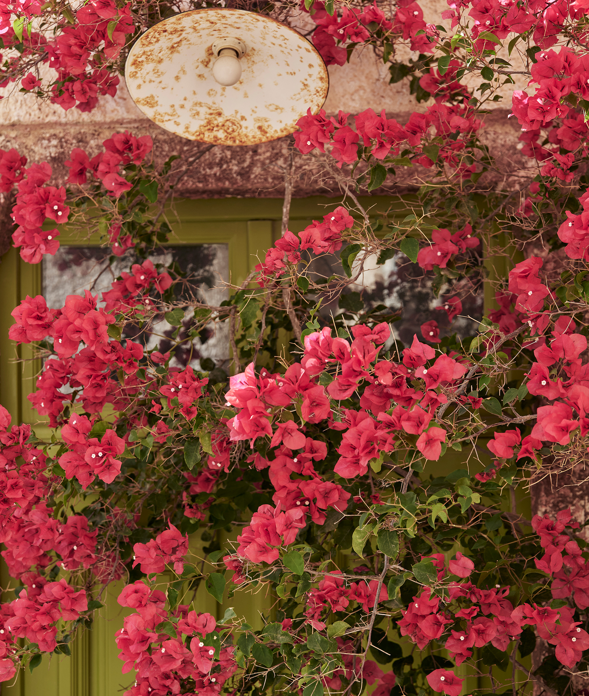 3-drz_ark_jtr_5_239527